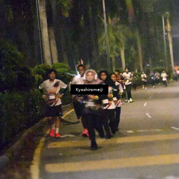 Runner Photo 5208242