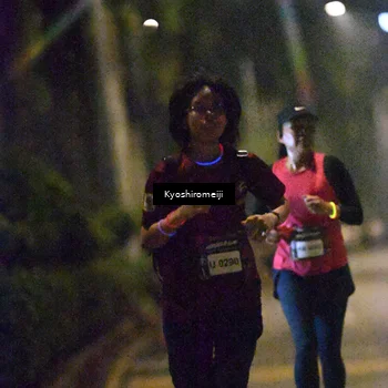 Runner Photo 5208244