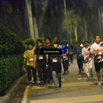 Runner Photo 5208323