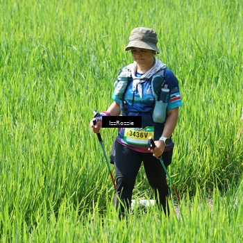 Runner Photo 5208343