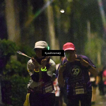 Runner Photo 5208391