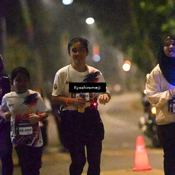 Runner Photo 5208418