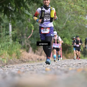 Runner Photo 5208711
