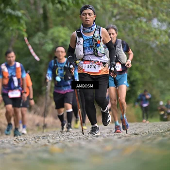 Runner Photo 5209737