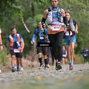 Runner Photo 5209740