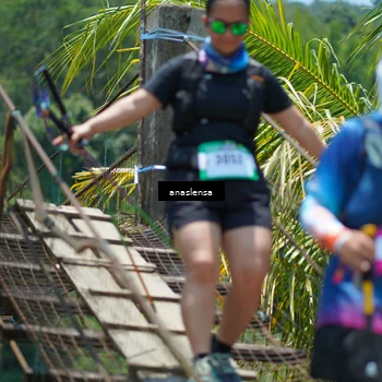 Runner Photo 5210267