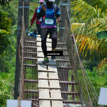 Runner Photo 5211361