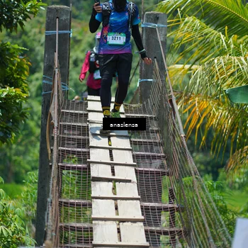 Runner Photo 5211375