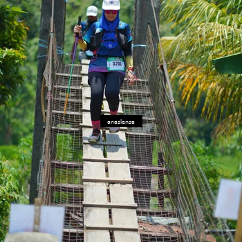 Runner Photo 5211498