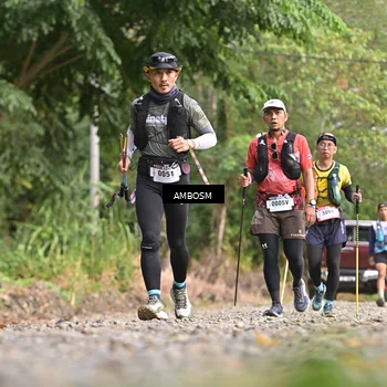 Runner Photo 5211682