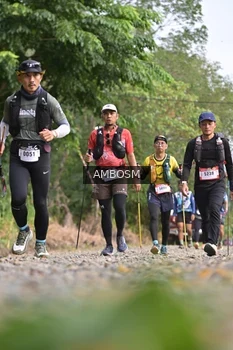 Runner Photo 5211684