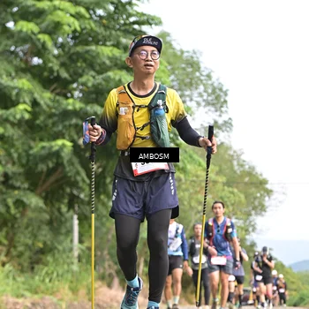 Runner Photo 5211711