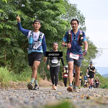 Runner Photo 5211712