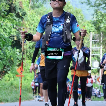 Runner Photo 5211716