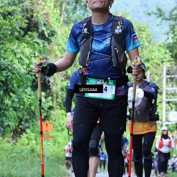 Runner Photo 5211718