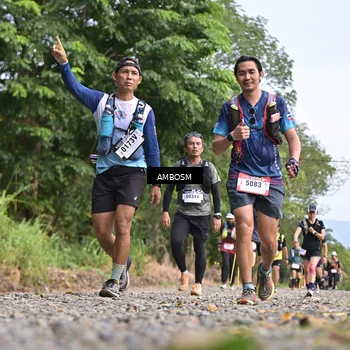Runner Photo 5211726