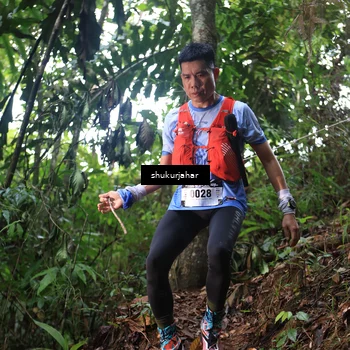 Runner Photo 5211765