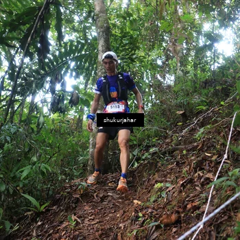 Runner Photo 5211773