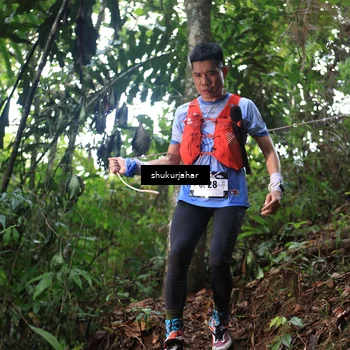 Runner Photo 5211786