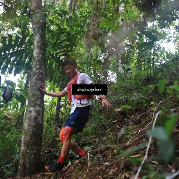 Runner Photo 5211852