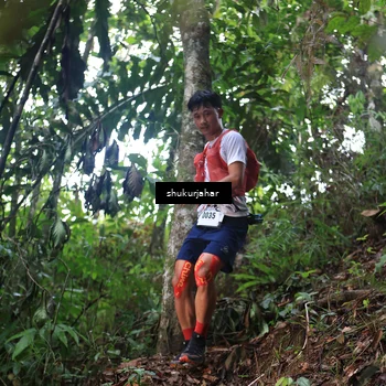 Runner Photo 5211860