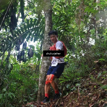 Runner Photo 5211861