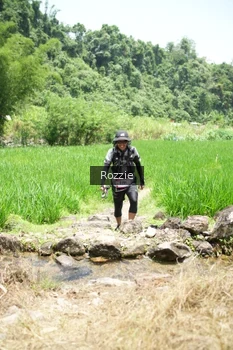 Runner Photo 5212160