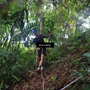 Runner Photo 5212723