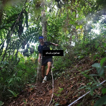 Runner Photo 5212742
