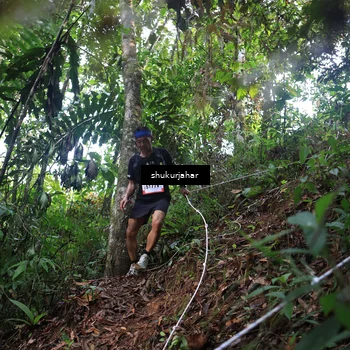 Runner Photo 5212746