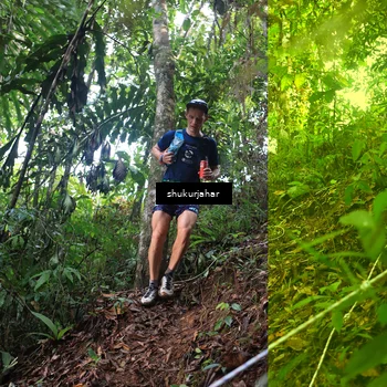 Runner Photo 5212873