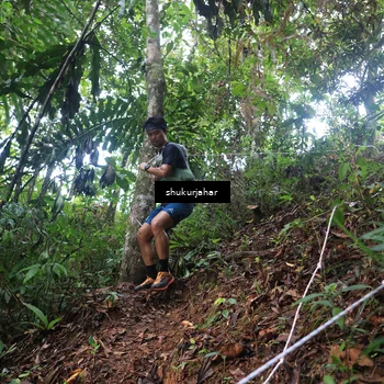Runner Photo 5212929