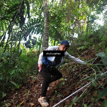 Runner Photo 5212943