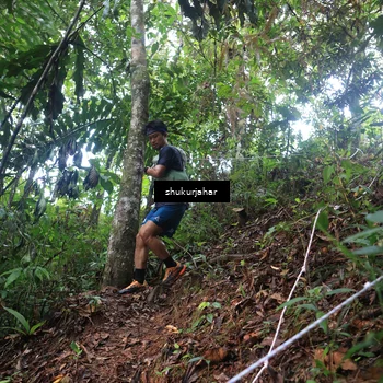 Runner Photo 5212944