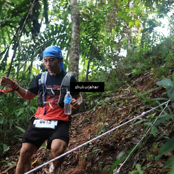 Runner Photo 5213230