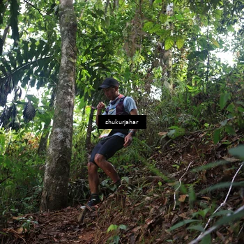 Runner Photo 5213376