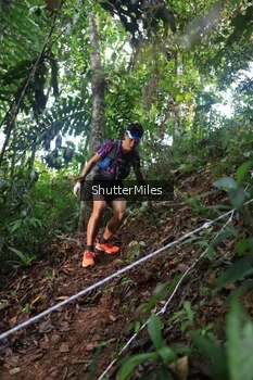 Runner Photo 5213397