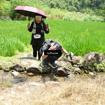 Runner Photo 5213599
