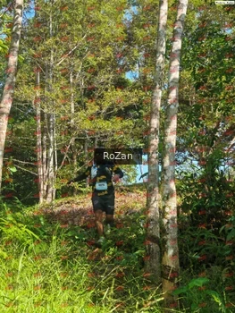 Runner Photo 5214