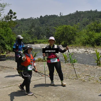 Runner Photo 5214948