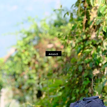 Runner Photo 5215069