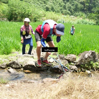 Runner Photo 5215250