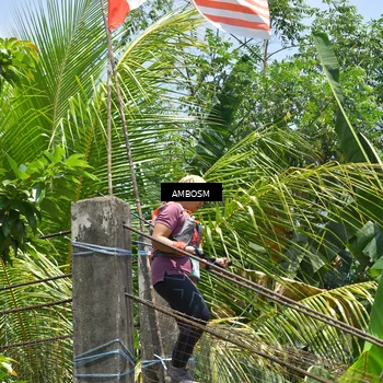 Runner Photo 5215574