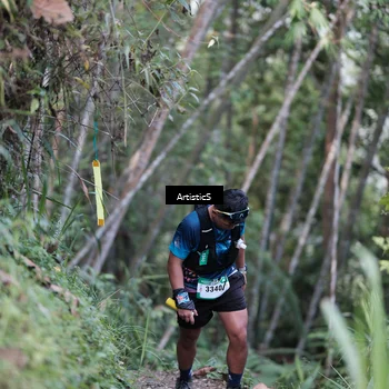 Runner Photo 5215624