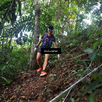 Runner Photo 5215638