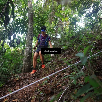 Runner Photo 5215639