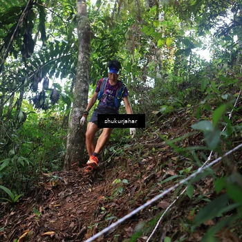 Runner Photo 5215641