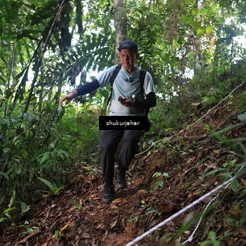 Runner Photo 5215644