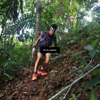 Runner Photo 5215645