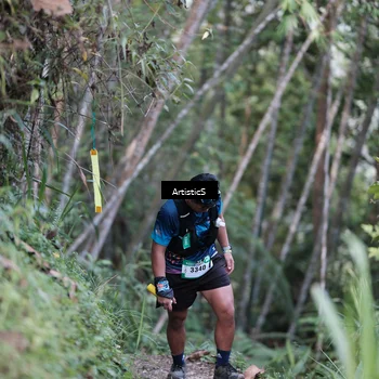 Runner Photo 5215651